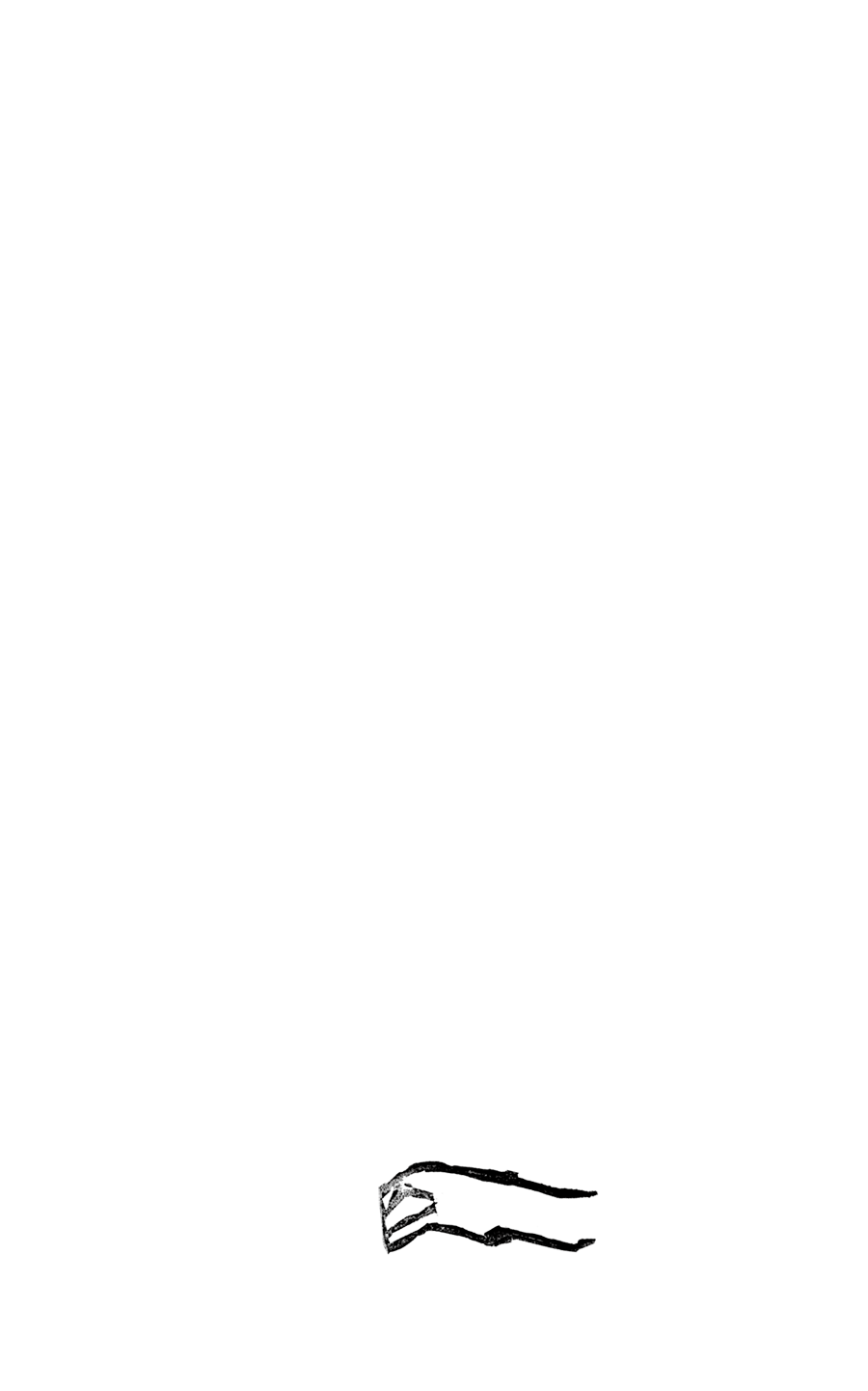 手