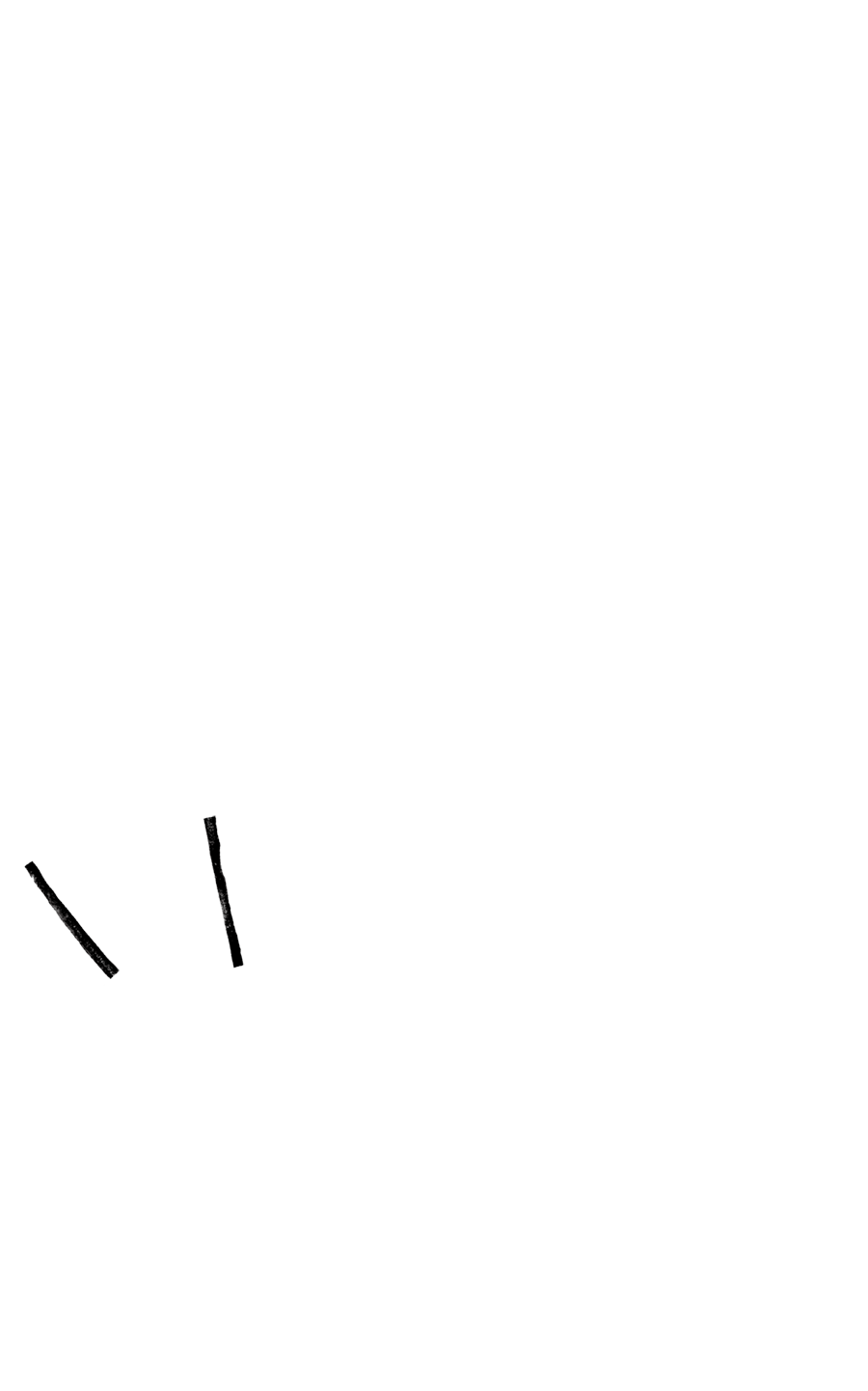 光1