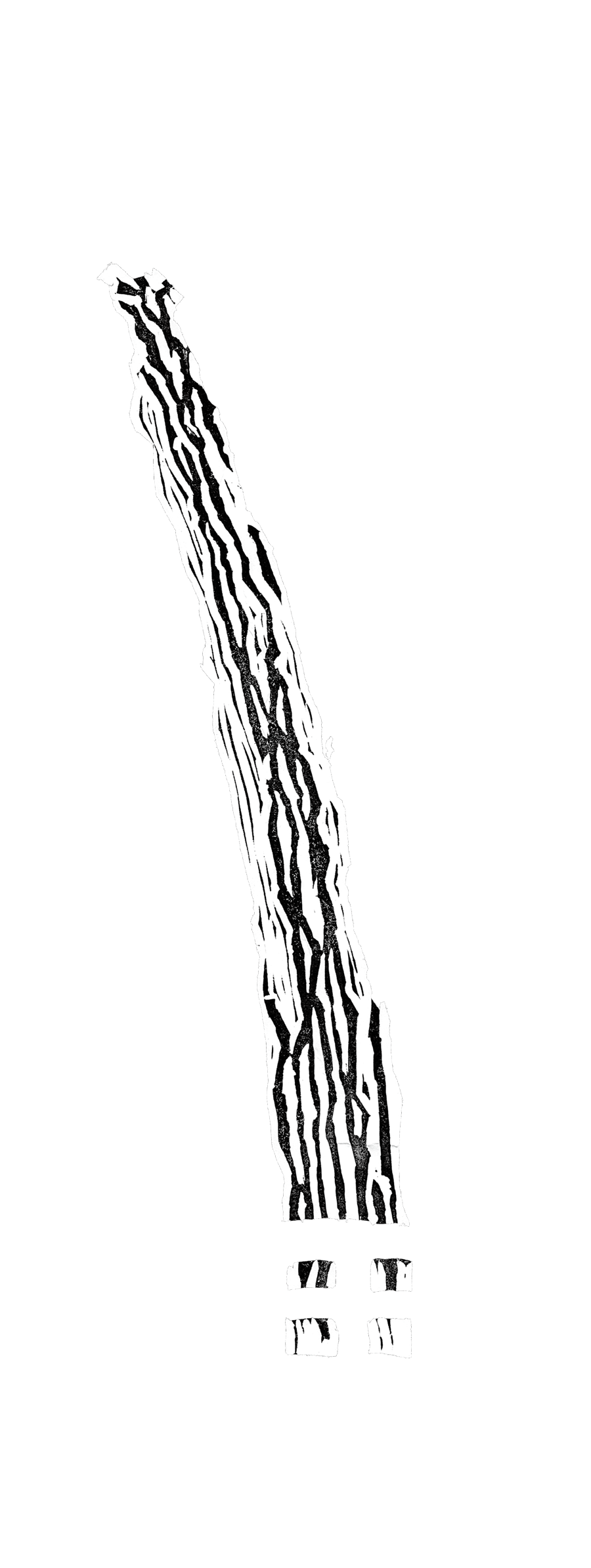 滝